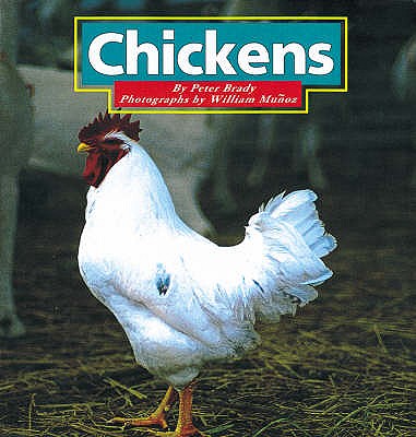 Chickens - Brady, Peter