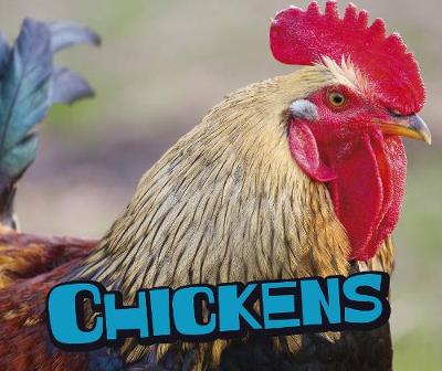 Chickens - Clay, Kathryn