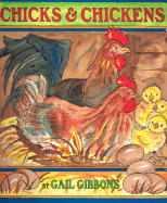 Chicks & Chickens
