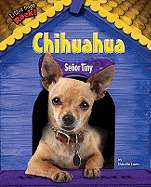 Chihuahua: Se�or Tiny
