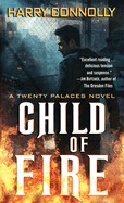 Child of Fire: A Twenty Palaces Novel