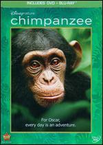 Chimpanzee