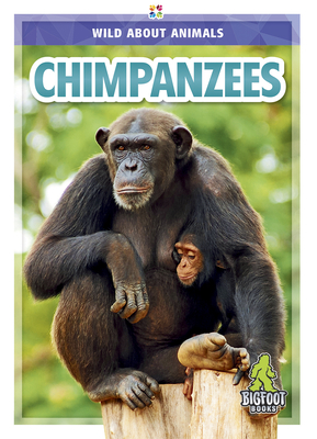 Chimpanzees - Temple, Colton