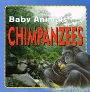 Chimpanzees