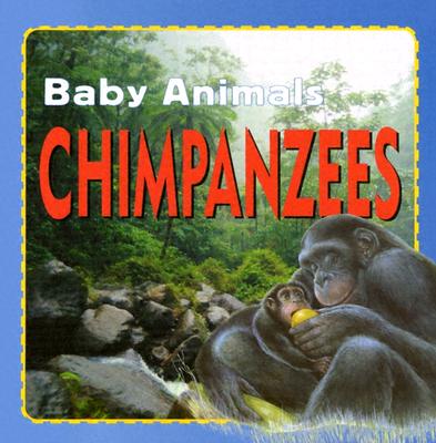 Chimpanzees - Petty, Kate