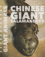 Chinese Giant Salamanders