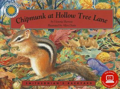 Chipmunk at Hollow Tree Lane - Sherrow, Victoria