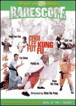Choi Lee Fut Kung Fu