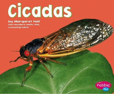 Cicadas - Hall, Margaret