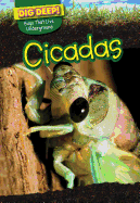 Cicadas