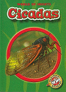 Cicadas