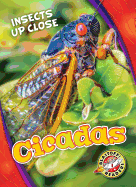 Cicadas