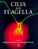 Cilia and Flagella