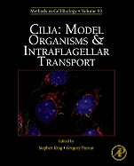 Cilia: Model Organisms and Intraflagellar Transport: Volume 93