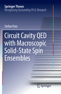 Circuit Cavity Qed with Macroscopic Solid-State Spin Ensembles