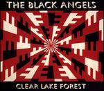 Clear Lake Forest