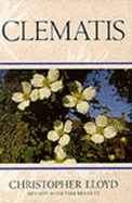 Clematis.