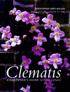 CLEMATIS