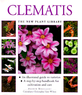 Clematis