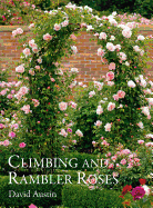 Climbing and Rambler Roses