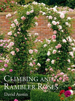 Climbing and Rambler Roses - Austin, David