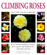 Climbing Roses