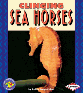 Clinging Sea Horses
