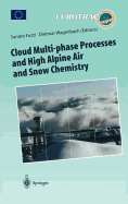 Cloud Multi-Phase Processes and High Alpine Air and Snow Chemistry: Ground-Based Cloud Experiments and Pollutant Deposition in the High Alps