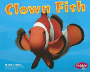 Clown Fish