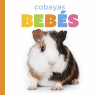 Cobayas Beb�s