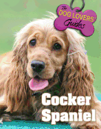 Cocker Spaniel
