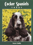 Cocker Spaniels Today