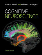 Cognitive Neuroscience