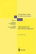 Cohomology of Finite Groups