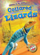 Collared Lizards