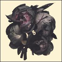 Collected [DualDisc] - Massive Attack