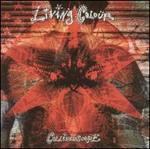 Collide�scope [DualDisc] - Living Colour