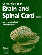 Color Atlas of the Brain and Spinal Cord