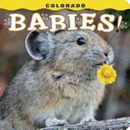 Colorado Babies!