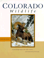 Colorado Wildlife - Rennicke, Jeff