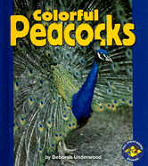 Colorful Peacocks