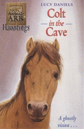 Colt in the Cave