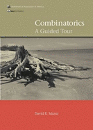 Combinatorics: A Guided Tour