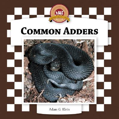 Common Adders - Klein, Adam G