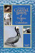 Common Coastal Birds of Florida & the Caribbean