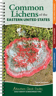 Common Lichens of the Eastern United States: Easily Identify 58 Widespread Types