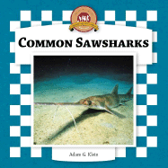 Common Sawsharks