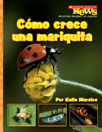 Como Crece una Mariquita