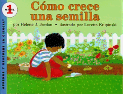 Como Crece Una Semilla