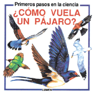 Como Vuela un Pajaro?